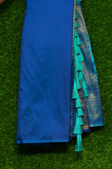 Organza saree