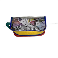 Transparent Multi-Purpose Pouch