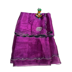 Silver Toned Sequin Embroidery scalloped Saree.