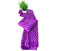 Bandhini Grace Saree