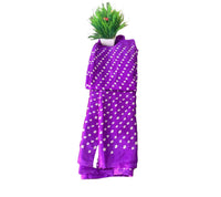 Bandhini Grace Saree