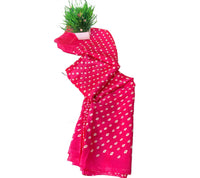 Bandhini Grace Saree