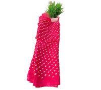 Bandhini Grace Saree