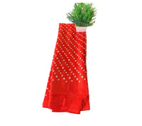 Bandhini Grace Saree