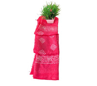 Batik Printed Bandhani Saree