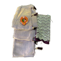 Shimmer Organza Saree