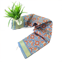 Linen Patola Ikat Saree