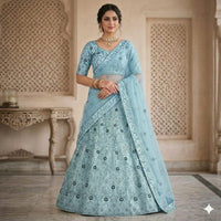 Neel Aabha Net Lehenga Set