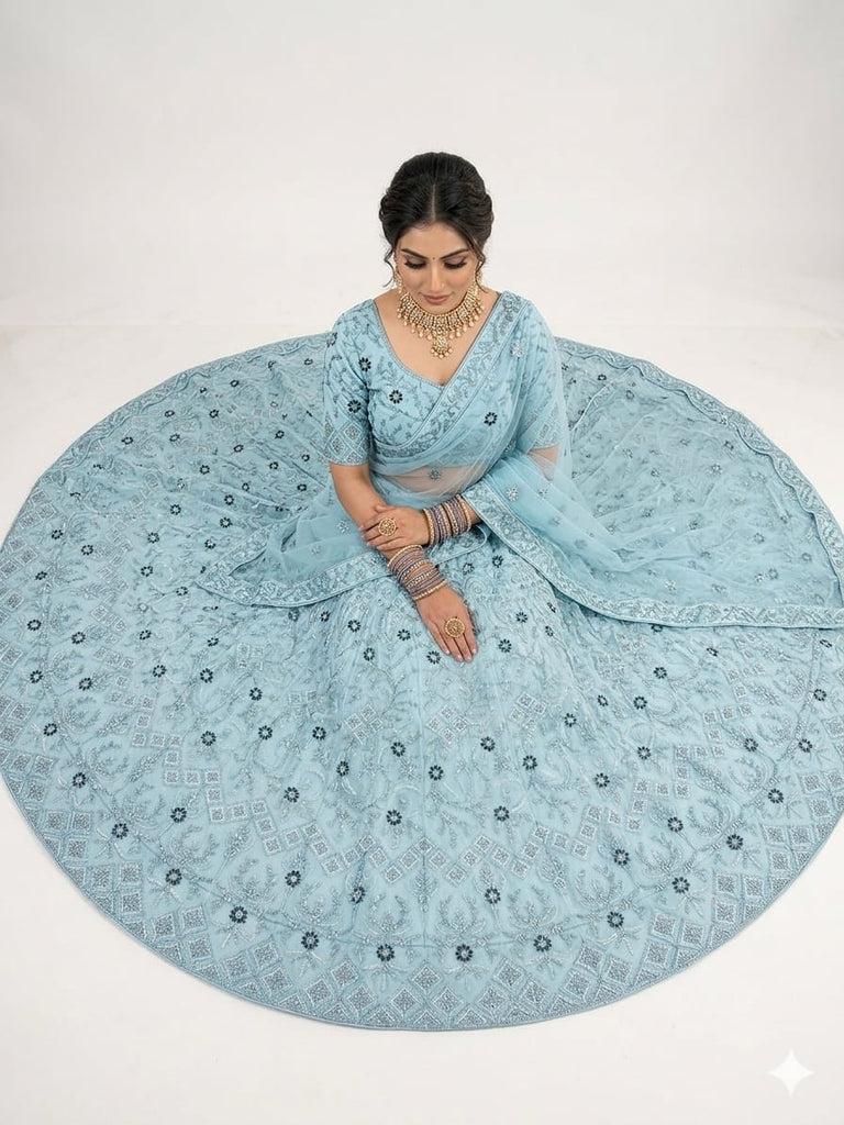 Neel Aabha Net Lehenga Set