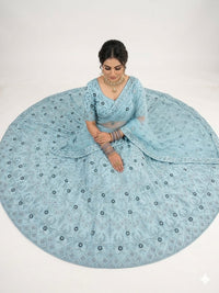 Neel Aabha Net Lehenga Set