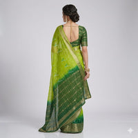 Harita Saanjh Glow Saree