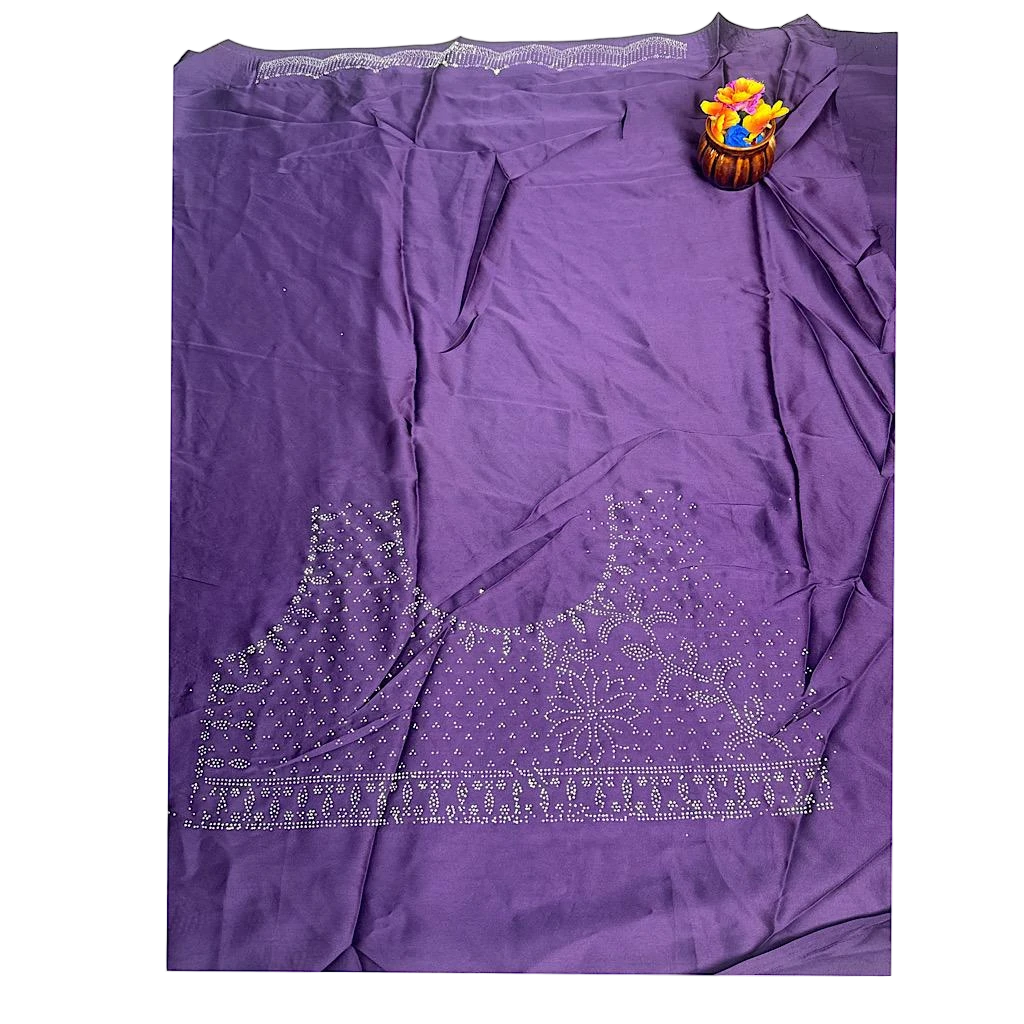 Embellished Stole Saree