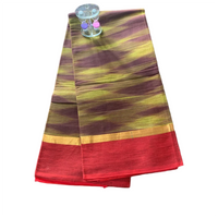 Zig Zag Kattari Design Patola saree