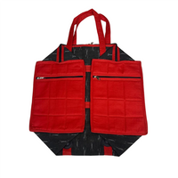 Ikat Jhola Bag